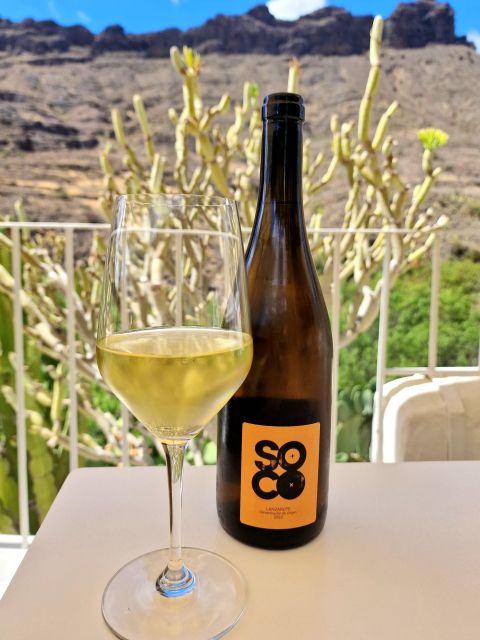 Gran Canaria: Tasting wine & local cheese in Mogan - Pairing It All Together: Why This Combination Works