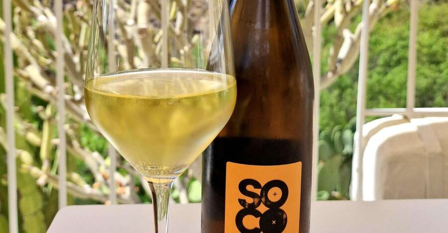 Gran Canaria: Tasting wine & local cheese in Mogan - Who This 150-Minute Tasting Fits Best