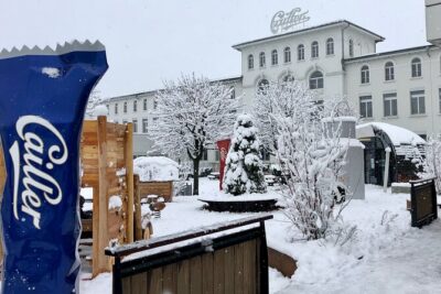 Gruyère Cheese and Chocolate Tasting Day Trip from Geneva - Stop 1: La Maison du Gruyère for samples that make the cheese click