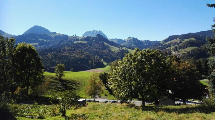 Gruyères, Cheese and Chocolate: Private Guided Tour - The medieval village of Gruyères: lunch, streets, and hilltop calm