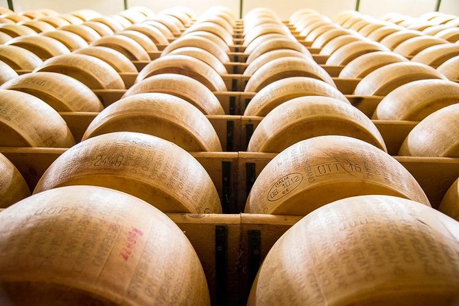 Guided group tour TastyBus: Parmesan Cheese and Parma Ham - Parmigiano Reggiano PDO: From Milk to Aging You Can Taste