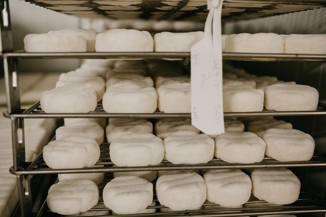 Guided Tour with Cheese & Wine Pairing - The factory walkthrough: how you actually get to see the process
