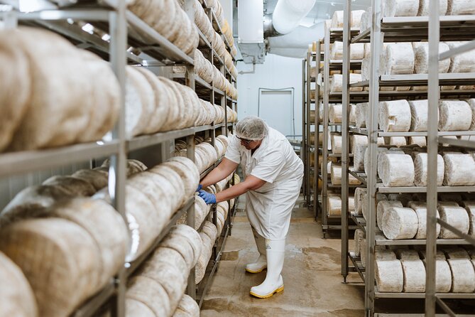 Guided Tour with Cheese & Wine Pairing - Getting there and settling in at the meeting point