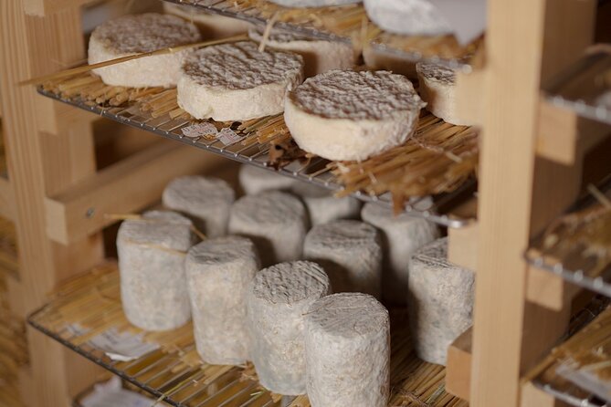 Guided visit of the Cheese Museum with Tasting Included - Live cheese making: what you should expect (and how to keep it flexible)