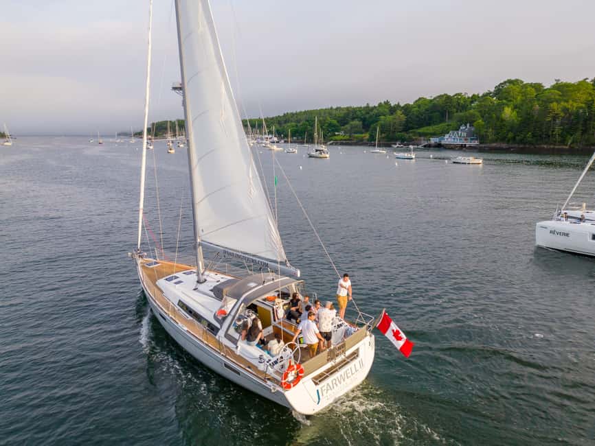 Halifax: Sunset Wine and Cheese Sailboat Cruise - Who should book this cruise (and who might skip it)