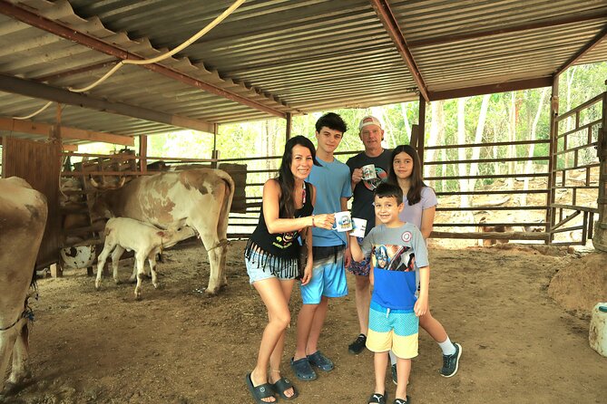 Hands-on Mexican Farm Experience: from Cow to Cheese - Key highlights to know before you go