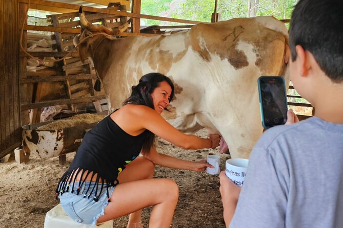 Hands-on Mexican Farm Experience: from Cow to Cheese - Tortillas and fruit: turning ingredients into a meal