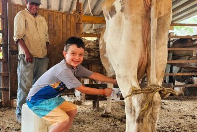 Hands-on Mexican Farm Experience: from Cow to Cheese - Meet the host and see where the food starts