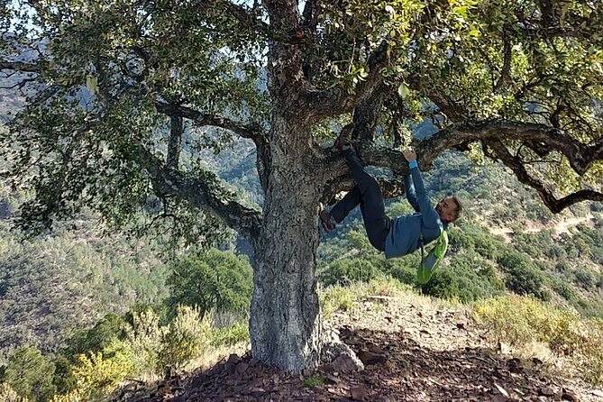 Hike the Cork Oak trail and try some Delicious Cheese - Cheese First in Almedijar, Then Sierra Espadán