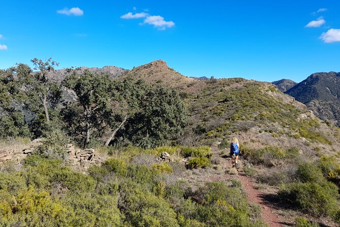 Hike the Cork Oak trail and try some Delicious Cheese - What’s Included, What to Pack, and How to Handle the Picnic