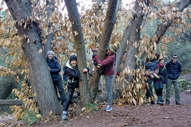 Hike the Cork Oak trail and try some Delicious Cheese - Weather, Pace, and Safety: Making the Steep Part Feel Manageable