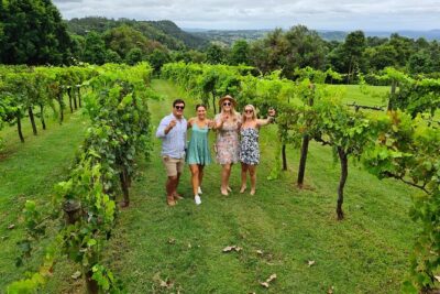 Hinterland Cheese & Wine Tasting Tour - with 2 course lunch included - Pickup, Small Group Size, and the Comfort of Not Driving
