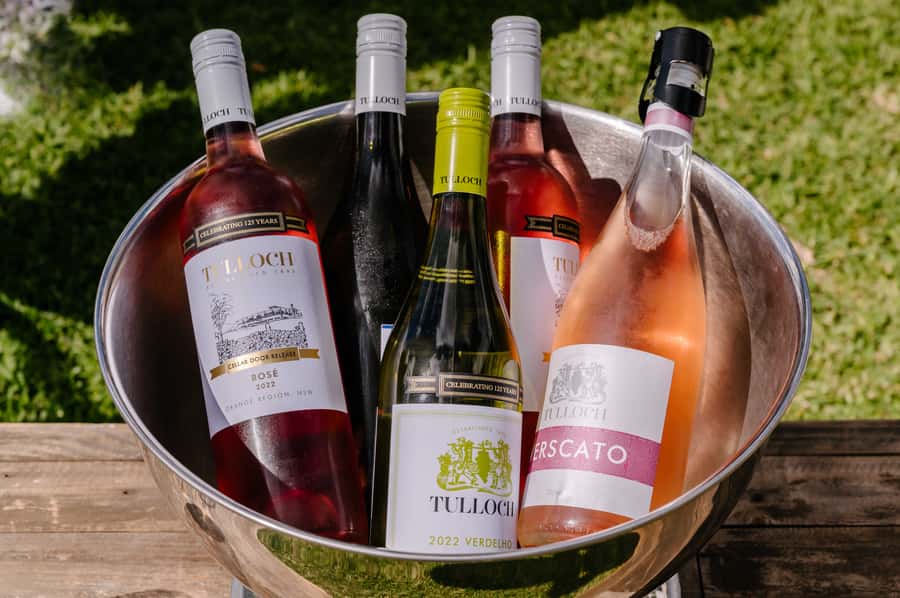 Hunter Valley: Tulloch Wines Mystery Wine & Cheese Tasting - Family add-ons: how kids and teens join in