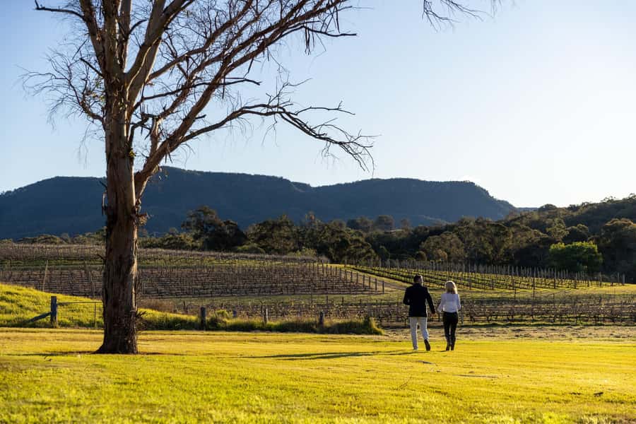 Hunter Valley: Wine and Cheese Tasting - Extending your day at Hunters Quarter Restaurant (Fri–Sun only)