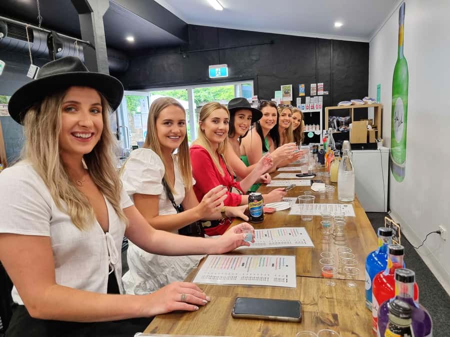 Hunter Valley: Wine, Gin, Cheese and Chocolate Tour - Stop-by-stop: how each tasting moment works