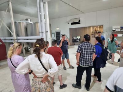 Hunter Valley: Wine, Gin, Cheese and Chocolate Tour - Hotel pickup from Pokolbin or Cessnock: start calm, taste sooner