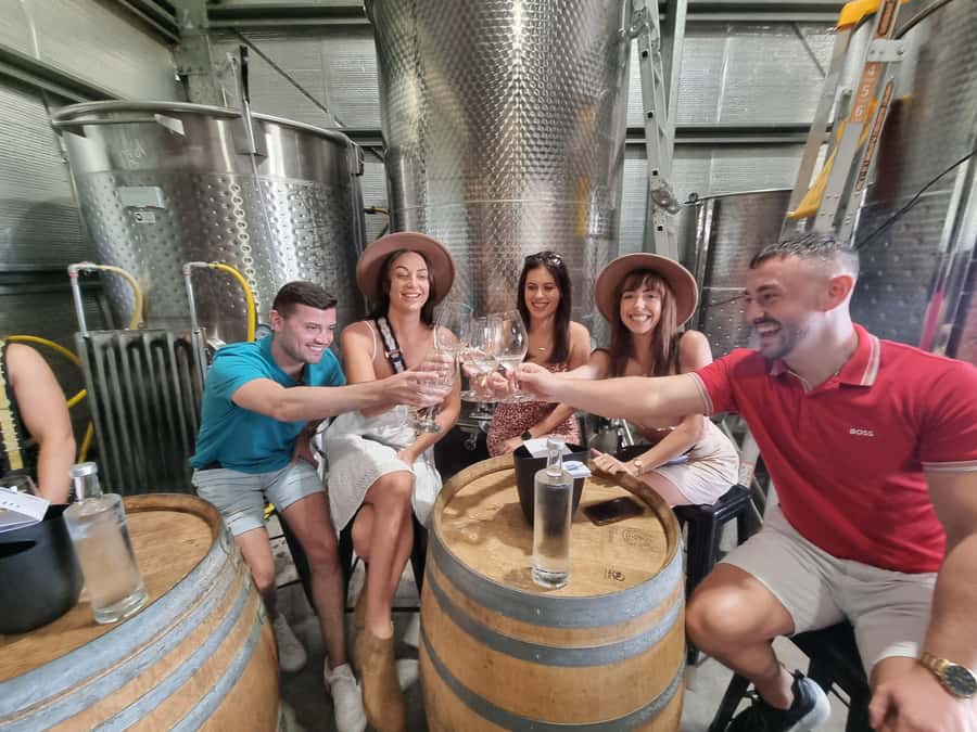 Hunter Valley: Wine, Gin, Cheese and Chocolate Tour - Should you book this Hunter Valley wine, gin, cheese and chocolate tour?