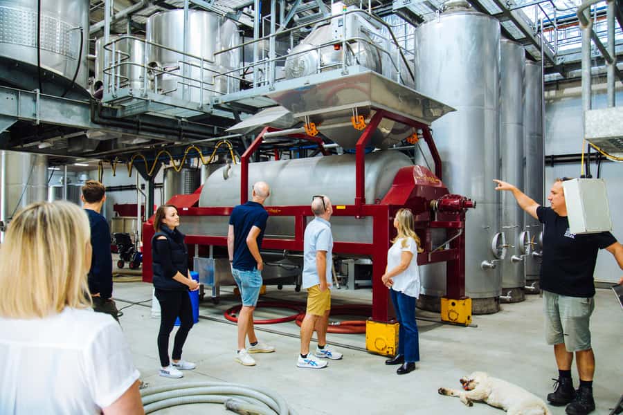 Hunter Valley: Wine, Spirits, and Cheese Tour with Lunch - Who this Hunter Valley wine, gin, and cheese tour is best for