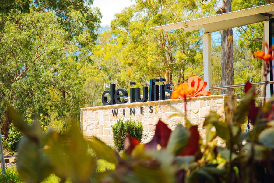 Hunter Valley: Wine, Spirits, and Cheese Tour with Lunch - Cheese, chocolate, and wine pairing: when it clicks