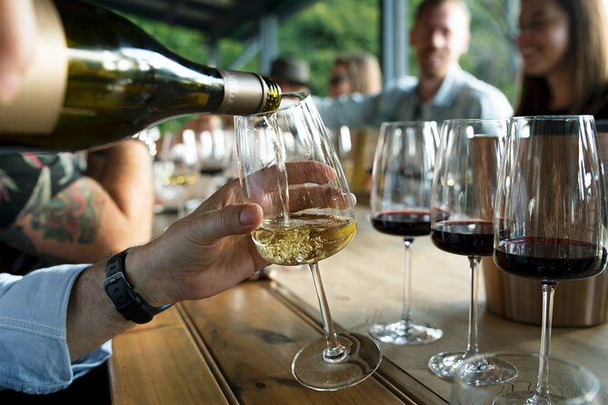 Hunter Valley Wine Tour ex Hunter Valley - Lunch, Cheese, Chocolate, Distillery - Price and value: is $192.94 worth it