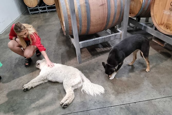 Hunter Valley Wine Tour + Lunch, Gin, Cheese, Choc from Newcastle - Stop-by-stop: what you can realistically expect at each winery
