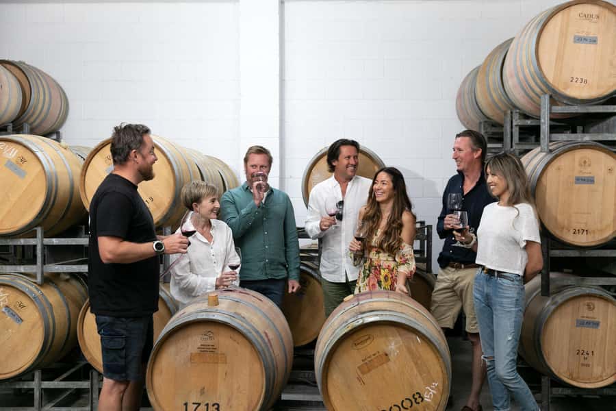 Hunter Valley: Wine Tour with 2-Course Lunch, Choc & Cheese - Mount Pleasant Wines: the Pinot Noir moment