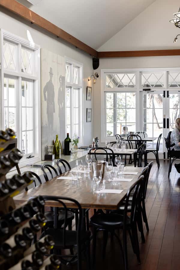 Hunter Valley: Wine Tour with 2-Course Lunch, Choc & Cheese - Chocolate and cheese stops: sweet breaks with a store-shop risk