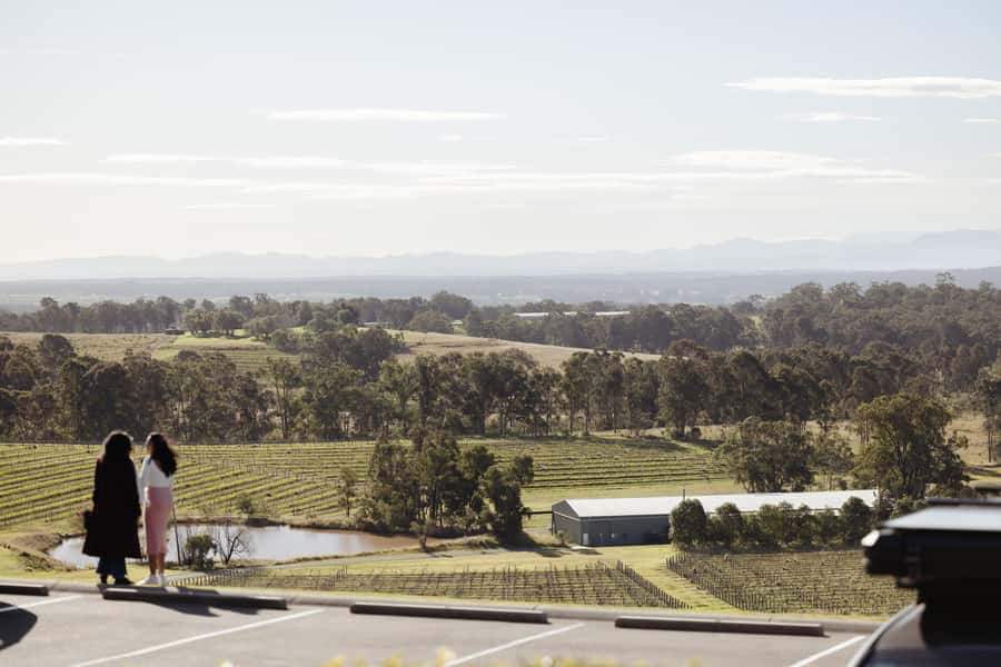 Hunter Valley: Wine Tour with 2-Course Lunch, Choc & Cheese - Who this tour fits best (and who should skip it)