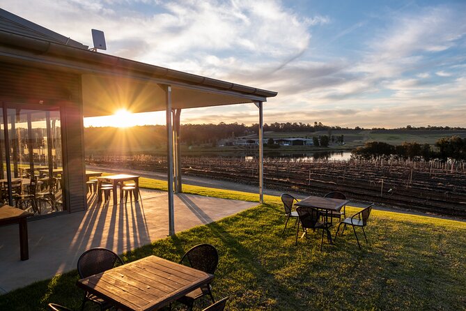 Hunter Valley Wines, 2-Course Lunch, Cheese & Chocolate Tour - Binnorie Dairy Lovedale: cheese course after lunch