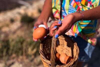 Ios: Cooking Experience with Cheese and Wine Tasting - Olive grove, chicken house, and goats: farm time that explains the ingredients