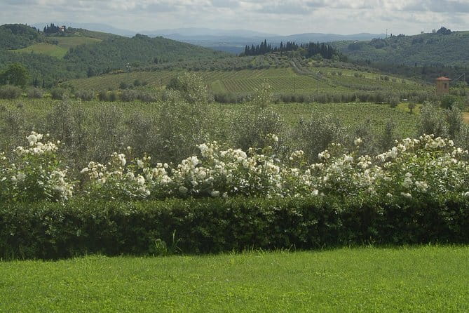 Journey through Italian Cheese - The itinerary is one stop for a reason: less travel, more tasting