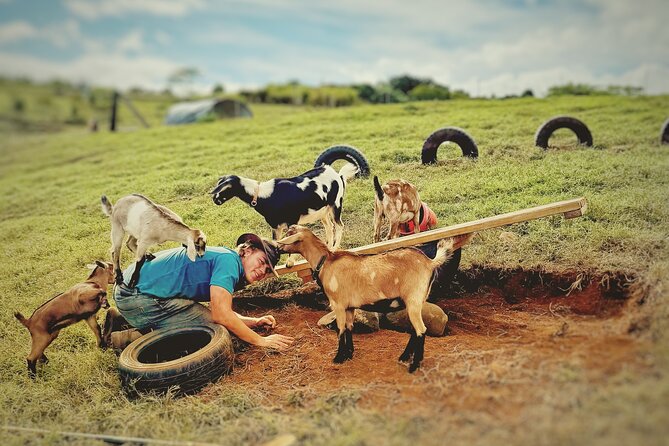 Kauai Private Baby Farm Animal Experience & Micro Dairy Immersion - Entering A Working Baby Farm Built Around Micro Dairy