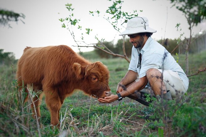Kauai Private Baby Farm Animal Experience & Micro Dairy Immersion - What $125 Buys in 50 Minutes on Kauai