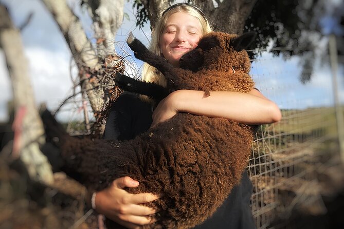 Kauai Private Baby Farm Animal Experience & Micro Dairy Immersion - Watching Real Farm Tasks: Shearing, Hoof Care, Compost, Planting