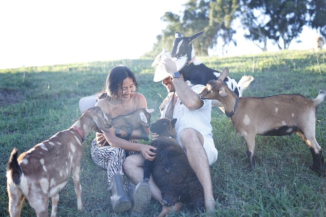 Kauai Private Baby Farm Animal Experience & Micro Dairy Immersion - Who Should Book This Baby Farm and Micro Dairy Tour