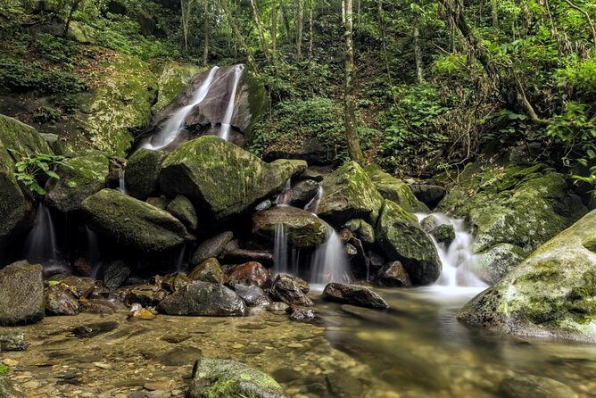 Kinabalu Park & Poring Hot Springs Tour with Desa Dairy Farm - Key Things To Know Before You Go
