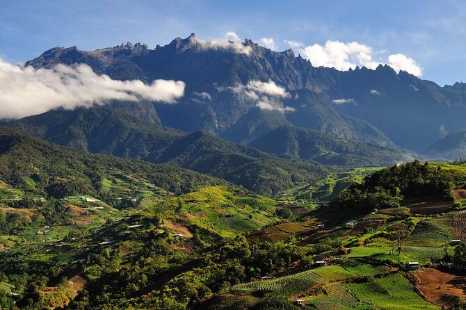 Kinabalu Park & Poring Hot Springs Tour with Desa Dairy Farm - Morning Start From Kota Kinabalu: Why Timing Matters