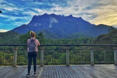 Kinabalu Park & Poring Hot Springs Tour with Desa Dairy Farm - Nabalu Market and the Fruit Stop: Easy First Steps Into Sabah