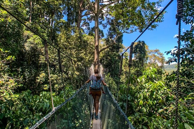 Kinabalu Park & Poring Hot Springs Tour with Desa Dairy Farm - Kinabalu Park: World Heritage Views and the Prof. Corner Story