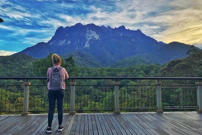 Kinabalu Park & Poring Hot Springs Tour with Desa Dairy Farm - Nabalu Market and the Fruit Stop: Easy First Steps Into Sabah