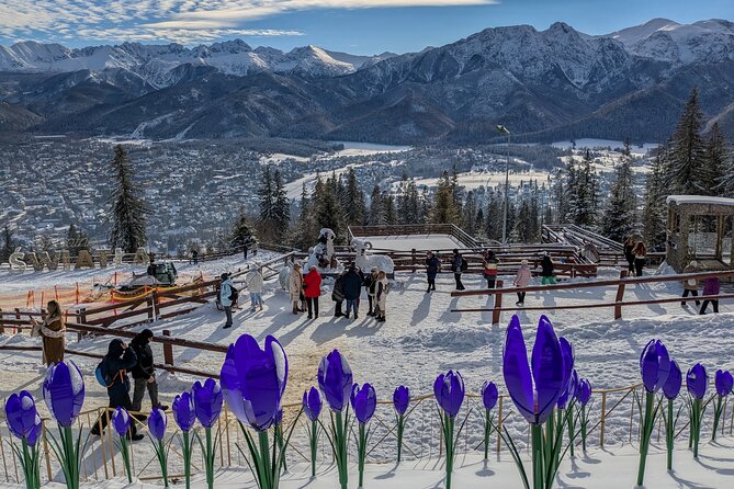 Krakow Zakopane Cable Car Vodka Cheese and Hot Springs Tour - Krupówki Street and Zakopane’s Center: Where You Get Your Bearings Fast