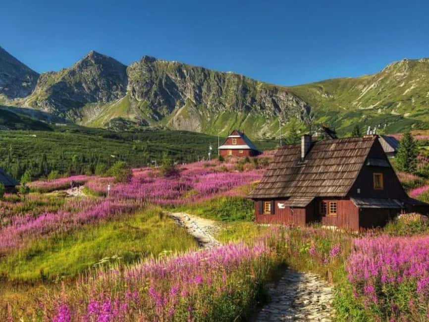 Krakow: Zakopane, Morskie Oko, and Cheese Tasting Tour - Morskie Oko and Tatra National Park: 8 km each way, big views, and two ways to get there