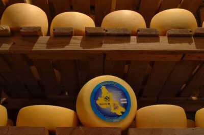KRK: Cheese factory inside tour and product tasting–guide - Welcome Drink, Intro Chat, Then Straight Into the Cheese