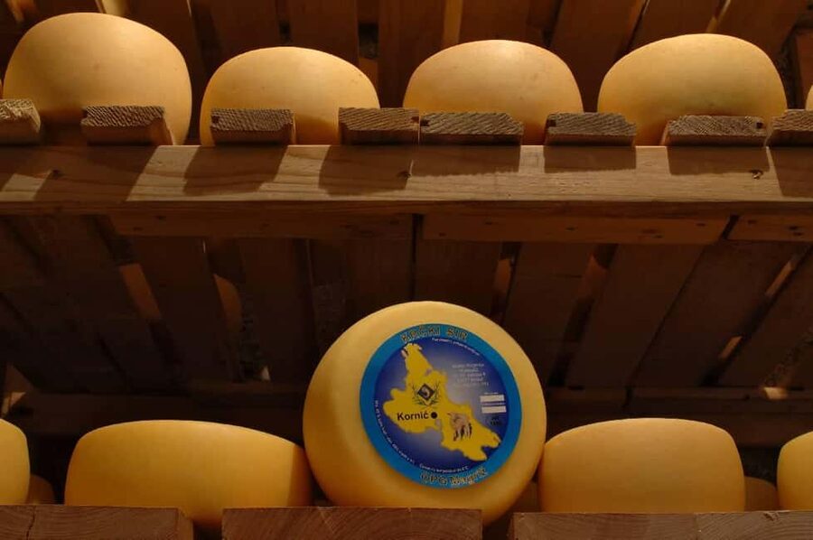 KRK: Cheese factory inside tour and product tasting–guide - Welcome Drink, Intro Chat, Then Straight Into the Cheese