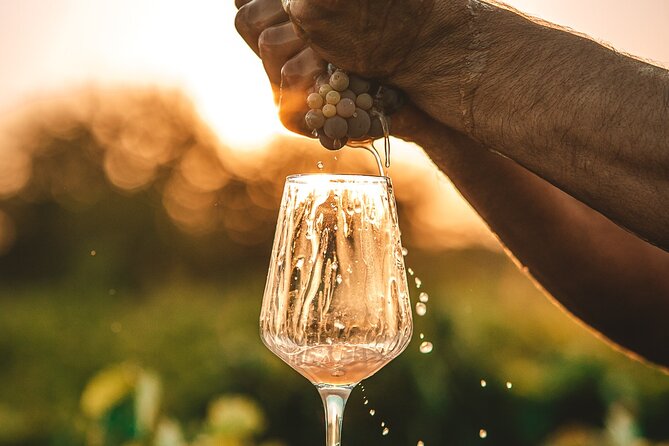 Krka Waterfalls & Wine and Cheese Tasting Tour from Split - Price and Value: What You Pay, What You Still Need