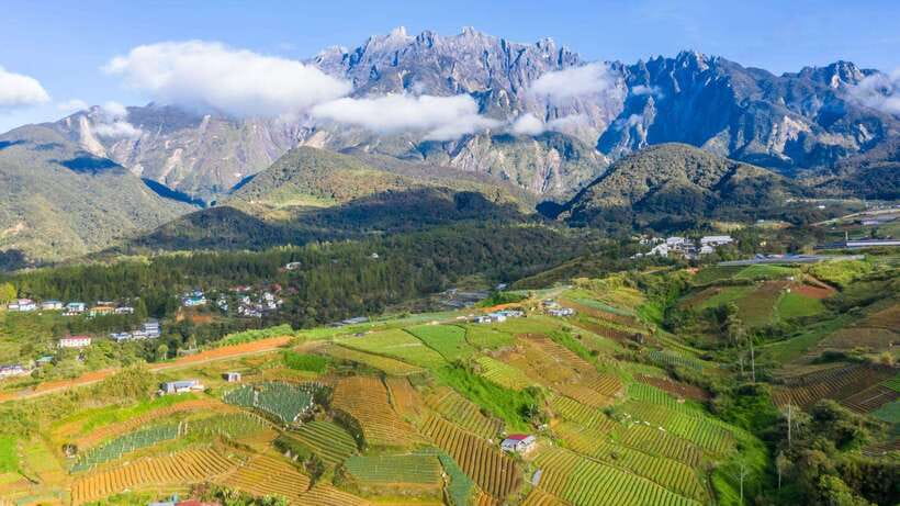 Kundasang: Day Tour with Desa Dairy Farm and Alpaca Club - Mt Kinabalu viewing platform: plan for clouds, not guarantees