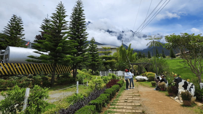 Kundasang: Day Tour with Desa Dairy Farm and Alpaca Club - Pekan Kundasang break: markets and a real lunch window