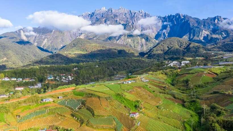 Kundasang: Day Tour with Desa Dairy Farm and Alpaca Club - Desa Dairy Farm (Ladang Tenusu): a working farm visit that feels grounded