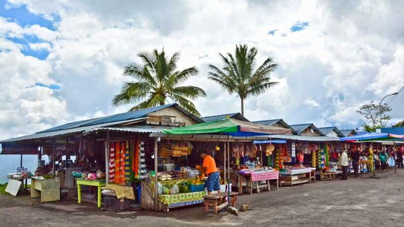 Kundasang: Day Tour with Desa Dairy Farm and Alpaca Club - Price and logistics: is $116 good value?