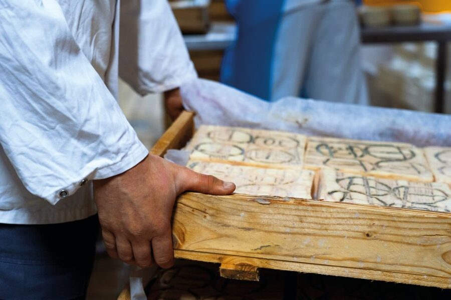 Lake Como: Cheese Factory Tour and Tasting in Valsassina - Group dynamics: language, pace, and comfort